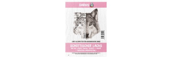 Darius Schottischer Lachs mit Dill, Spinat,Fenchel, Spargel & Tomate