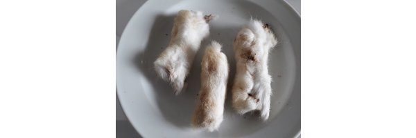 Kaninchenpfoten mit Fell getrocknet