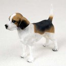 Beagle aus USA