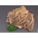 Lammpansen gewolft 1 kg BARF Frostfutter