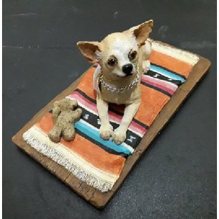 Chihuahua auf Teppich