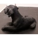 Labrador Retriever schwarz