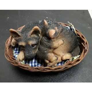 Schäferhund im Korb mit Baby