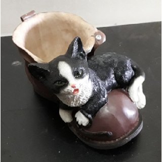 Katze mit Schuh als Blumentopf