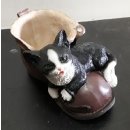 Katze mit Schuh als Blumentopf