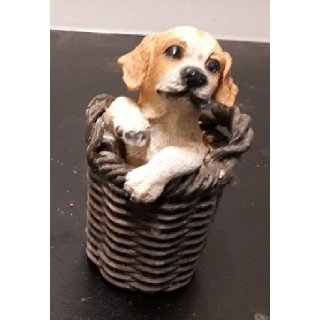 Beagle im Korb
