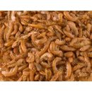 Blachflohkrebs ( Gammarus )  1 kg